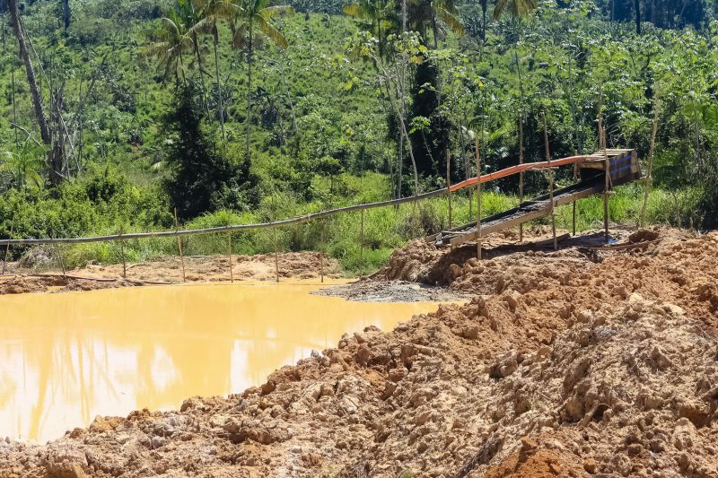 O Governo do Pará vem intensificando o combate ao desmatamento ilegal. Nos últimos cinco dias, equipes da Secretaria de Estado de Meio Ambiente e Sustentabilidade (Semas), em parceria com o Batalhão de Polícia Ambiental (BPA), da Polícia Militar, percorreram 620 quilômetros em cinco municípios. A força-tarefa seguiu de Moju a Tailândia, no sudeste, e de Altamira a Senador José Porfírio, terminando em Anapu, no oeste. <div class='credito_fotos'>Foto: Ronan Frias / Semas   |   <a href='/midias/2019/originais/5289_img_6018.jpg' download><i class='fa-solid fa-download'></i> Download</a></div>