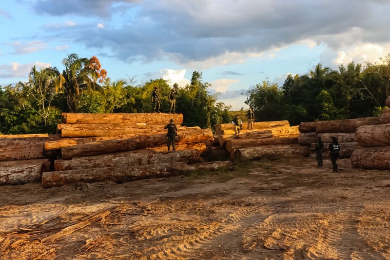 O Governo do Pará vem intensificando o combate ao desmatamento ilegal. Nos últimos cinco dias, equipes da Secretaria de Estado de Meio Ambiente e Sustentabilidade (Semas), em parceria com o Batalhão de Polícia Ambiental (BPA), da Polícia Militar, percorreram 620 quilômetros em cinco municípios. A força-tarefa seguiu de Moju a Tailândia, no sudeste, e de Altamira a Senador José Porfírio, terminando em Anapu, no oeste. <div class='credito_fotos'>Foto: Ronan Frias / Semas   |   <a href='/midias/2019/originais/5289_img_6037.jpg' download><i class='fa-solid fa-download'></i> Download</a></div>