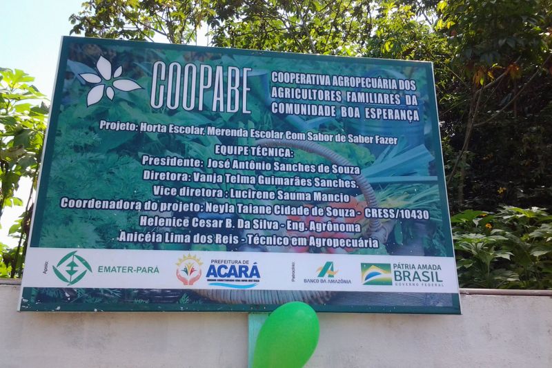 Estudantes do ensino fundamental da Escola Municipal Eduardo Angelin, da comunidade São Lourenço, no município de Acará, região nordeste do Estado, participaram da primeira colheita das hortaliças e verduras plantadas por eles, no início de maio, por meio do Projeto Horta Escolar – Merenda Escolar com Sabor de Saber Fazer. <div class='credito_fotos'>Foto: ASCOM / EMATER   |   <a href='/midias/2019/originais/5319_horta4.jpg' download><i class='fa-solid fa-download'></i> Download</a></div>