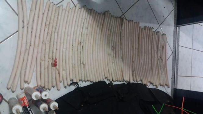 As polícias Civil e Militar apreenderam, em Redenção, na última sexta-feira (22), sudeste paraense, grande quantidade de explosivos, munições, coletes balísticos e três fuzis - dois de calibres 556 e um de calibre 762, usados no assalto a um banco ocorrido no município paraense de Rio Maria. Durante as diligências policiais, um homem suspeito de envolvimento com o grupo responsável pelo crime foi preso e um comparsa morreu após trocar tiros com policiais civis. Após o assalto à agência do Bradesco de Rio Maria, na madrugada da última segunda-feira (18), equipes policiais se deslocaram à região para realizar diligências para prender os integrantes do grupo. 

FOTO: ASCOM / POLICIA CIVIL
DATA: 24.03.2019
REDENÇÃO - PARÁ <div class='credito_fotos'>Foto: Ascom Polícia Civil   |   <a href='/midias/2019/originais/531ddccd-b2c2-40f8-8d84-b31aa0a84036.jpg' download><i class='fa-solid fa-download'></i> Download</a></div>