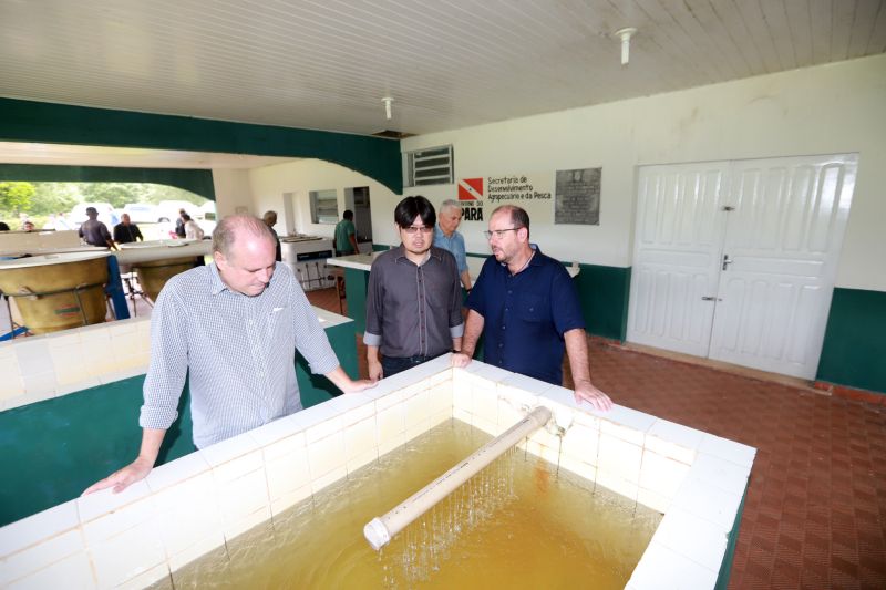  <div class='credito_fotos'>Foto: Marco Santos / Ag. Pará   |   <a href='/midias/2019/originais/5337_image00003.jpg' download><i class='fa-solid fa-download'></i> Download</a></div>