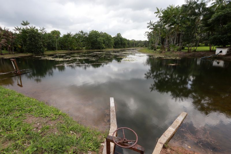  <div class='credito_fotos'>Foto: Marco Santos / Ag. Pará   |   <a href='/midias/2019/originais/5337_image00004.jpg' download><i class='fa-solid fa-download'></i> Download</a></div>