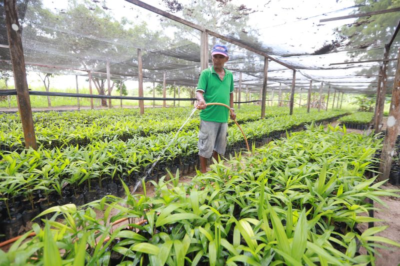  <div class='credito_fotos'>Foto: Marco Santos / Ag. Pará   |   <a href='/midias/2019/originais/5337_image00013.jpg' download><i class='fa-solid fa-download'></i> Download</a></div>