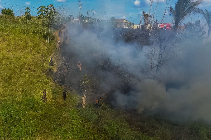 O 9º Grupamento de Bombeiros Militar (9º GBM), sediado em Altamira (PA), ministrou uma "Capacitação em Prevenção e Combate a Incêndio Florestal" a militares do 51º Batalhão de Infantaria de Selva (51º BIS). O treinamento ocorreu neste domingo. 

FOTO: DIVULGAÇÃO / ASCOM EXÉRCITO <div class='credito_fotos'>Foto: Divulgação   |   <a href='/midias/2019/originais/5345_img-20190825-wa0301-2.jpg' download><i class='fa-solid fa-download'></i> Download</a></div>