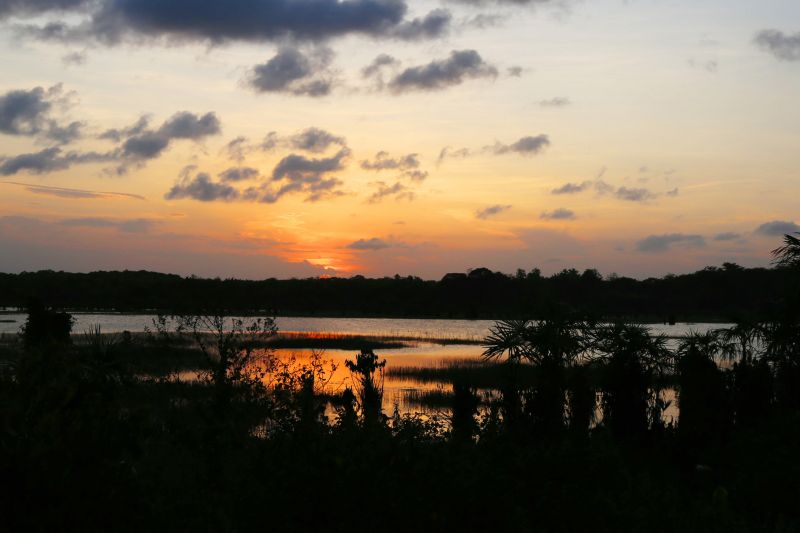 Situado no nordeste paraense, o município de Curuçá aprovou a criação de três Unidades de Conservação da Natureza municipais, mediante o apoio técnico do Governo do Estado, através do Instituto de Desenvolvimento Florestal e da Biodiversidade do Estado do Pará (Ideflor-Bio). Com isso, a prefeitura local e o governo irão garantir a preservação do Lago Rio Quente, do igarapé Rancho Fundo, das nascentes, manguezais e espécies da fauna e flora da região. <div class='credito_fotos'>Foto: ASCOM / IDEFLOR   |   <a href='/midias/2019/originais/5351_foto_lago_rio_quente.jpg' download><i class='fa-solid fa-download'></i> Download</a></div>
