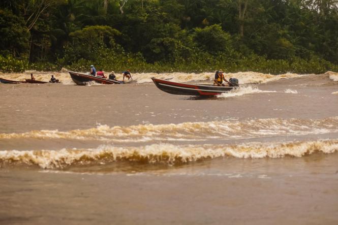 Sem Descrição <div class='credito_fotos'>Foto: Maycon Nunes / Ag. Pará   |   <a href='/midias/2019/originais/535ee4f5-a981-4eca-b2b3-cf141468b3fa.jpg' download><i class='fa-solid fa-download'></i> Download</a></div>
