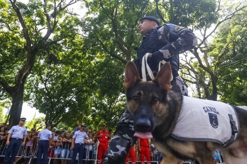 Foto: Marcelo Seabra / Ag. Pará
