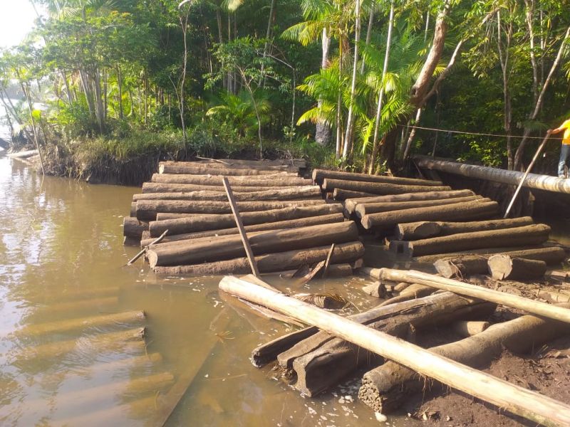 A Polícia Civil do Pará deflagrou uma operação de combate ao desmatamento ilegal na zona rural de Muaná, na Ilha do Marajó. Três pessoas, que estavam responsáveis por uma serraria clandestina, foram detidas. No local foram apreendidas mais de 500 toras de madeira. <div class='credito_fotos'>Foto: Ascom Polícia Civil   |   <a href='/midias/2019/originais/5429_whatsappimage2019-09-11at18.40.581.jpg' download><i class='fa-solid fa-download'></i> Download</a></div>