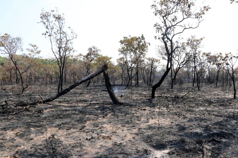 Após o Corpo de Bombeiros realizar um sobrevoo, na tarde desta terça-feira (17), sobre a Área de Proteção Ambiental Municipal Alter do Chão, o governo do Estado considerou extintos os três principais focos de incêndio registrados na região de Santarém. <div class='credito_fotos'>Foto: JADER PAES / AG. PARÁ   |   <a href='/midias/2019/originais/5455_20190917095032_img_6136.jpg' download><i class='fa-solid fa-download'></i> Download</a></div>