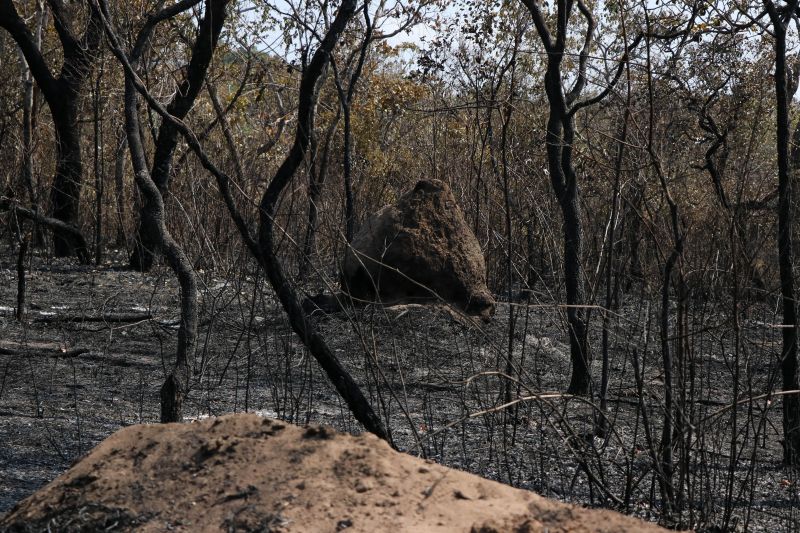 Após o Corpo de Bombeiros realizar um sobrevoo, na tarde desta terça-feira (17), sobre a Área de Proteção Ambiental Municipal Alter do Chão, o governo do Estado considerou extintos os três principais focos de incêndio registrados na região de Santarém. <div class='credito_fotos'>Foto: JADER PAES / AG. PARÁ   |   <a href='/midias/2019/originais/5455_20190917095239_img_6145.jpg' download><i class='fa-solid fa-download'></i> Download</a></div>