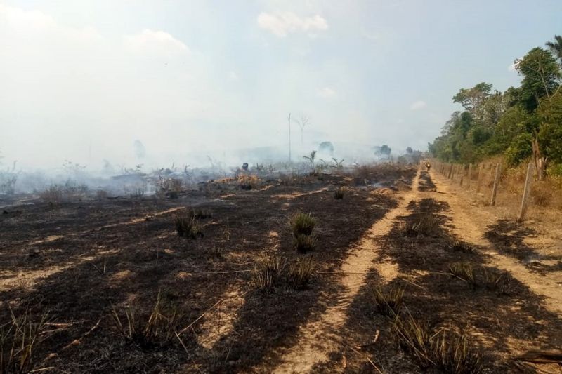 No início desta semana, a Operação Fênix avançou positivamente em Novo Progresso, sudoeste do Pará. O Corpo de Bombeiros e o Exército Brasileiro se deslocaram pela manhã até uma localidade a 36 km do município, 1h20min de tempo aproximado.  <div class='credito_fotos'>Foto: ASCOM / CBMPA   |   <a href='/midias/2019/originais/5458_foto4.jpg' download><i class='fa-solid fa-download'></i> Download</a></div>