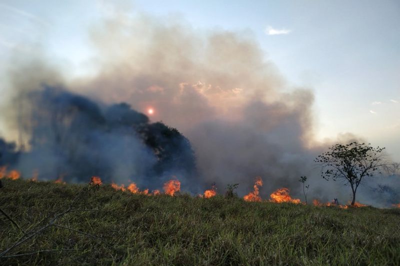 No início desta semana, a Operação Fênix avançou positivamente em Novo Progresso, sudoeste do Pará. O Corpo de Bombeiros e o Exército Brasileiro se deslocaram pela manhã até uma localidade a 36 km do município, 1h20min de tempo aproximado.  <div class='credito_fotos'>Foto: ASCOM / CBMPA   |   <a href='/midias/2019/originais/5458_whatsappimage2019-09-16at10.03.40pm.jpg' download><i class='fa-solid fa-download'></i> Download</a></div>