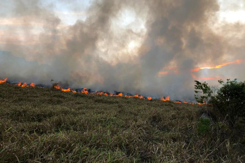 No início desta semana, a Operação Fênix avançou positivamente em Novo Progresso, sudoeste do Pará. O Corpo de Bombeiros e o Exército Brasileiro se deslocaram pela manhã até uma localidade a 36 km do município, 1h20min de tempo aproximado.  <div class='credito_fotos'>Foto: ASCOM / CBMPA   |   <a href='/midias/2019/originais/5458_whatsappimage2019-09-16at10.03.51pm.jpg' download><i class='fa-solid fa-download'></i> Download</a></div>