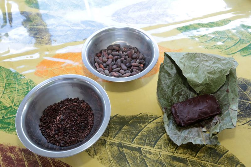  <div class='credito_fotos'>Foto: Alex Ribeiro / Ag. Pará   |   <a href='/midias/2019/originais/5471_festivaldochocolatevisitailhadocumbu-20190920_fotosalexribeiro0607.jpg' download><i class='fa-solid fa-download'></i> Download</a></div>