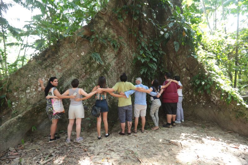  <div class='credito_fotos'>Foto: Alex Ribeiro / Ag. Pará   |   <a href='/midias/2019/originais/5471_festivaldochocolatevisitailhadocumbu-20190920_fotosalexribeiro0642.jpg' download><i class='fa-solid fa-download'></i> Download</a></div>