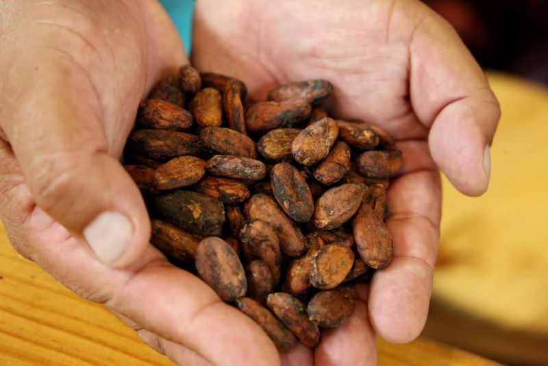 O Curso de "Bean to Bar", realizado pelo VI Festival Internacional de Chocolate, em Belém, atraiu confeiteiros, pessoas que trabalham na fabricação de chocolates e quem buscavam saber mais sobre o processo de produção artesanal do cacau até o chocolate, o evento foi realizado na Universidade da Amazônia (Unama). <div class='credito_fotos'>Foto: Bruno Cecim / Ag.Pará   |   <a href='/midias/2019/originais/5474_photoeditor_20190920_161945424-1867x1245.jpg' download><i class='fa-solid fa-download'></i> Download</a></div>