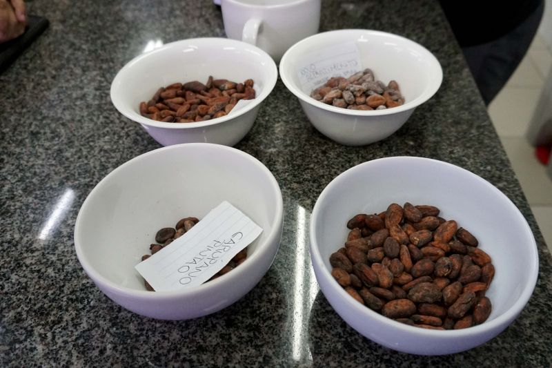 O Curso de "Bean to Bar", realizado pelo VI Festival Internacional de Chocolate, em Belém, atraiu confeiteiros, pessoas que trabalham na fabricação de chocolates e quem buscavam saber mais sobre o processo de produção artesanal do cacau até o chocolate, o evento foi realizado na Unama.  

FOTO: Mateus Costa / Ascom Sedap <div class='credito_fotos'>Foto: ASCOM / SEDAP   |   <a href='/midias/2019/originais/5476_dsc01717.jpg' download><i class='fa-solid fa-download'></i> Download</a></div>