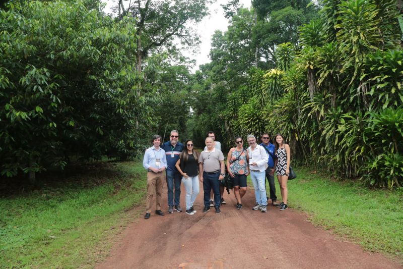 Hoje (21) o grupo de Jornalistas foi conhecer as atividades da Comissão Executiva do Plano da Lavoura Cacaueira
(Ceplac), que é uma das responsáveis pelo desenvolvimento tecnológico e científico da cacauicultura no Pará. Durante a visita, o chefe de pesquisa e extensão do Pará e Amapá da Ceplac, Fernando Mendes, repassou dados da produção estadual. <div class='credito_fotos'>Foto: Alex Ribeiro / Ag. Pará   |   <a href='/midias/2019/originais/5477_20190921090511_img_4853.jpg' download><i class='fa-solid fa-download'></i> Download</a></div>