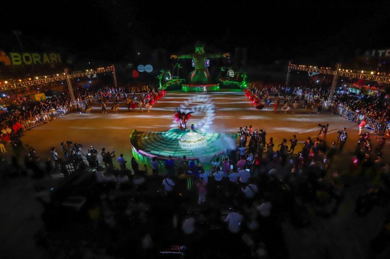 Próximo de Santarém, na Vila de Alter do Chão, no oeste do Pará, tem uma pergunta que é ouvida com frequência nas rodas de conversa: quem teve a melhor apresentação durante a noite da batalha dos botos? Tucuxi ou Cor de Rosa?  <div class='credito_fotos'>Foto: Marco Santos / Ag. Pará   |   <a href='/midias/2019/originais/5482_cairebotocorderosa-fotomarcosantos-15.jpg' download><i class='fa-solid fa-download'></i> Download</a></div>