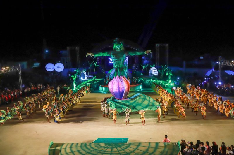 Próximo de Santarém, na Vila de Alter do Chão, no oeste do Pará, tem uma pergunta que é ouvida com frequência nas rodas de conversa: quem teve a melhor apresentação durante a noite da batalha dos botos? Tucuxi ou Cor de Rosa?  <div class='credito_fotos'>Foto: Marco Santos / Ag. Pará   |   <a href='/midias/2019/originais/5482_cairebotocorderosa-fotomarcosantos-23.jpg' download><i class='fa-solid fa-download'></i> Download</a></div>