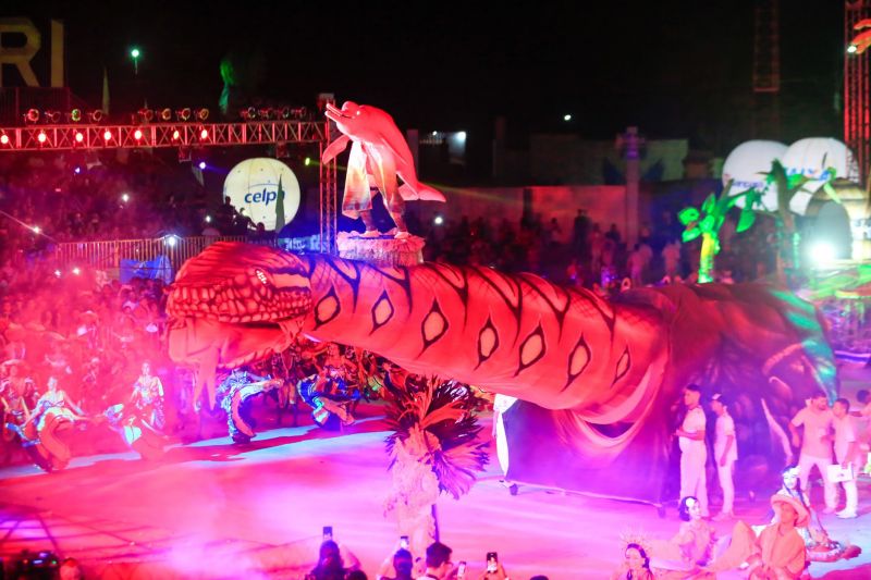 Próximo de Santarém, na Vila de Alter do Chão, no oeste do Pará, tem uma pergunta que é ouvida com frequência nas rodas de conversa: quem teve a melhor apresentação durante a noite da batalha dos botos? Tucuxi ou Cor de Rosa?  <div class='credito_fotos'>Foto: Marco Santos / Ag. Pará   |   <a href='/midias/2019/originais/5482_cairebotocorderosa-fotomarcosantos-30.jpg' download><i class='fa-solid fa-download'></i> Download</a></div>