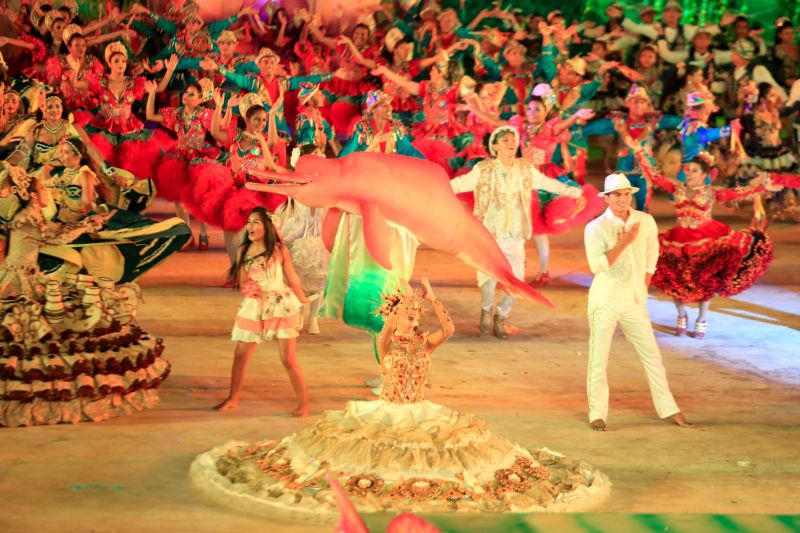 Próximo de Santarém, na Vila de Alter do Chão, no oeste do Pará, tem uma pergunta que é ouvida com frequência nas rodas de conversa: quem teve a melhor apresentação durante a noite da batalha dos botos? Tucuxi ou Cor de Rosa?  <div class='credito_fotos'>Foto: Marco Santos / Ag. Pará   |   <a href='/midias/2019/originais/5482_cairebotocorderosa-fotomarcosantos-42.jpg' download><i class='fa-solid fa-download'></i> Download</a></div>