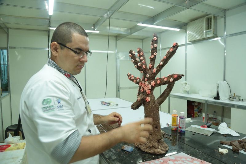  VI Festival do Chocolate e Cacau e da 18ª Exposição Flor Pará, realizados no Hangar - Centro de Convenções. Mais de 30 mil pessoas já passaram pelo local em três dias de evento, estimativa que superou as expectativas. <div class='credito_fotos'>Foto: Alex Ribeiro / Ag. Pará   |   <a href='/midias/2019/originais/5485_20190921180849_img_5441.jpg' download><i class='fa-solid fa-download'></i> Download</a></div>
