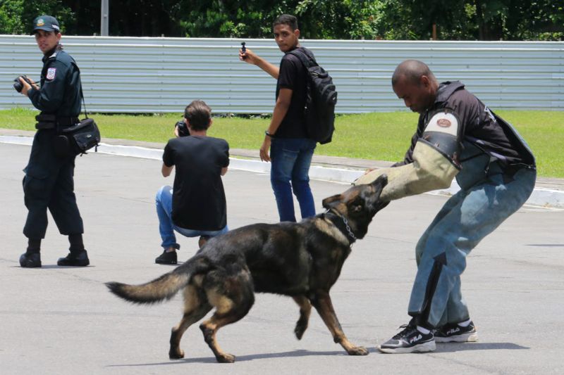 O Dia da Polícia Militar do Pará foi celebrado, na manhã desta quarta-feira (25), com uma solenidade realizada no quartel do Comando-Geral da PM, no bairro Parque-Guajará, em Belém. O evento, que também celebrou os 201 anos da corporação paraense, teve como destaques a promoção de 55 oficiais e 2.549 praças; a entrega de coletes balísticos, armamentos, computadores, novos veículos e uniformes; além da entrega da Medalha do Mérito Policial Militar “Coronel Fontoura” a personalidades civis e militares. <div class='credito_fotos'>Foto: Marco Santos / Ag. Pará   |   <a href='/midias/2019/originais/5496_estadohomenageiamilitaresduranteaniversariode201anosdapm-fotomarcosantos-80.jpg' download><i class='fa-solid fa-download'></i> Download</a></div>