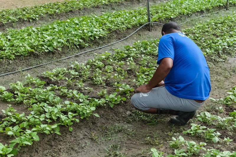  <div class='credito_fotos'>Foto: Alex Ribeiro / Ag. Pará   |   <a href='/midias/2019/originais/5498_20190926084129_img_6110.jpg' download><i class='fa-solid fa-download'></i> Download</a></div>