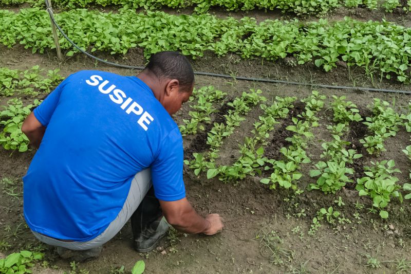  <div class='credito_fotos'>Foto: Alex Ribeiro / Ag. Pará   |   <a href='/midias/2019/originais/5498_20190926084134_img_6111.jpg' download><i class='fa-solid fa-download'></i> Download</a></div>