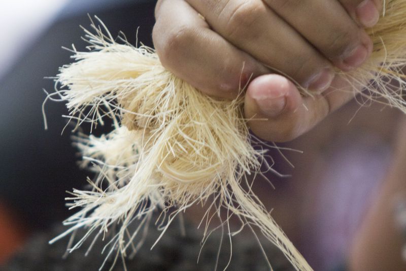  <div class='credito_fotos'>Foto: Pedro Guerreiro / Ag. Pará   |   <a href='/midias/2019/originais/5575_82f921aa-3a3c-8982-dea9-a5ce341e8c5c.jpg' download><i class='fa-solid fa-download'></i> Download</a></div>