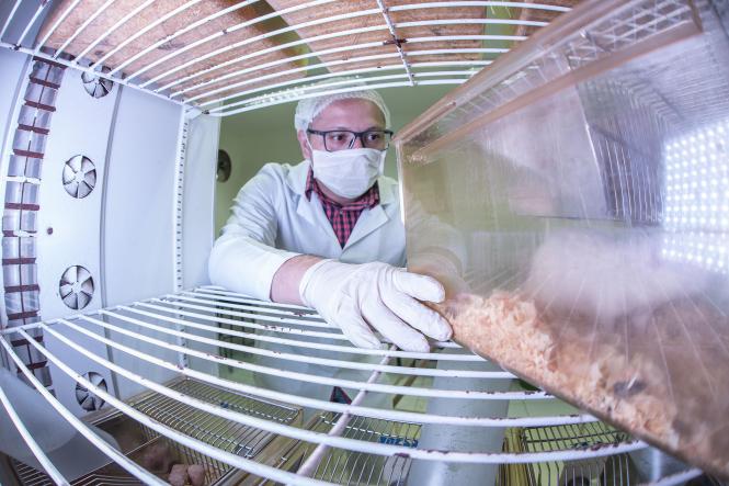 Biotério do Centro de Ciências Biológicas e da Saúde (CCBS), CAMPUS II da Universidade do Estado do Pará (Uepa).

FOTO: NAILANA THIELY
DATA: 12.04.19
BELÉM-PARÁ <div class='credito_fotos'>Foto: Nailana Thiely / Ascom Uepa   |   <a href='/midias/2019/originais/558ea6c0-f80b-46fc-b785-a5e9c9527086.jpg' download><i class='fa-solid fa-download'></i> Download</a></div>