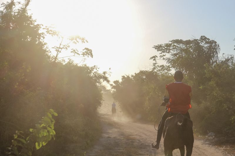 Resgatar e fortalecer a cultural marajoara, aliado a tradição popular, é o objetivo da 3° do Cavalo Marajoara, no município de Soure, Arquipélago do Marajó. <div class='credito_fotos'>Foto: ASCOM / SEEL   |   <a href='/midias/2019/originais/5591_4680f7ae-3764-6ce5-1a4e-86947ba41c6b.jpg' download><i class='fa-solid fa-download'></i> Download</a></div>