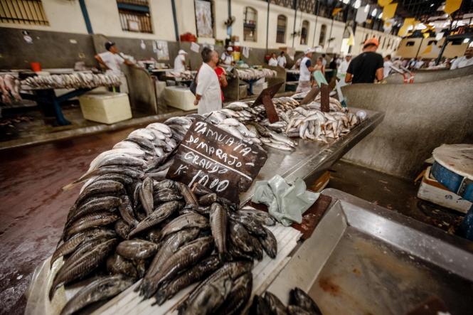 Uma equipe de fiscais do Procon do Pará esteve nesta terça-feira (16), desde às 8h30, no mercado de peixe do Ver-o-Peso, realizando ações de fiscalização dentro da Operação Páscoa 2019. O trabalho realizado pela Diretoria de Proteção e Defesa do Consumidor do Pará, vinculada à Secretaria de Estado de Justiça e Direitos Humanos (Sejudh), busca identificar e inibir abusos na comercialização de pescado e outros produtos muito procurados nesta época do ano.

FOTO: FERNANDO ARAÚJO / AGÊNCIA PARÁ
DATA: 16.04.2019
BELÉM - PARÁ <div class='credito_fotos'>Foto: Fernando Araújo/Ag. Pará   |   <a href='/midias/2019/originais/55aff333-e6f7-4299-904f-a5ee22430d9f.jpg' download><i class='fa-solid fa-download'></i> Download</a></div>