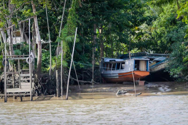 Foto: Pedro Guerreiro / Ag. Pará