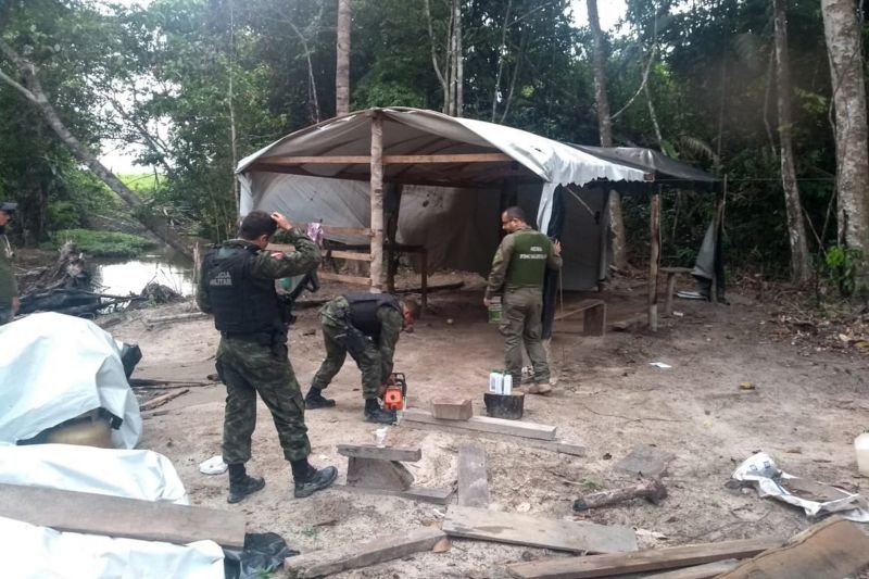O Governo do Pará deflagrou mais uma operação de combate ao desmatamento ilegal. Equipes da Secretaria de Estado de Meio Ambiente e Sustentabilidade (Semas) e do Batalhão de Polícia Ambiental (BPA), da Polícia Miliar, já apreenderam uma pistola 380, uma espingarda, um radiocomunicador, um trator esteira e cinco motosserras, além de um caminhão com 38 toras de madeira, da espécie Acapu, cuja exploração é proibida por lei. A carga, equivalente a 18,2 m³, pode ser leiloada ou doada. Três acampamentos clandestinos foram destruídos pelas equipes. <div class='credito_fotos'>Foto: ASCOM / SEMAS   |   <a href='/midias/2019/originais/5676_6a54f0eb-0f75-02bb-c19b-9ade3441ee44.jpg' download><i class='fa-solid fa-download'></i> Download</a></div>