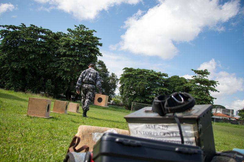 Cachorros recebem cuidados diários e são treinados por, pelo menos, quatro vezes na semana com prática de faro em narcóticos.
Na foto:  <div class='credito_fotos'>Foto: Pedro Guerreiro / Ag. Pará   |   <a href='/midias/2019/originais/5679_0c7daff9-0a2a-3f60-2b1a-e10c1db2ec44.jpg' download><i class='fa-solid fa-download'></i> Download</a></div>