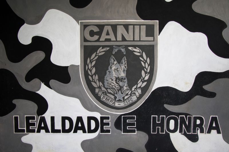 Cachorros recebem cuidados diários e são treinados por, pelo menos, quatro vezes na semana com prática de faro em narcóticos.
Na foto:  <div class='credito_fotos'>Foto: Pedro Guerreiro / Ag. Pará   |   <a href='/midias/2019/originais/5679_500627cd-66fd-4bef-4cf9-c7d33283f826.jpg' download><i class='fa-solid fa-download'></i> Download</a></div>