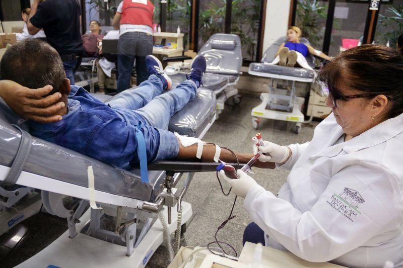  <div class='credito_fotos'>Foto: Bruno Cecim / Ag.Pará   |   <a href='/midias/2019/originais/5695_acbad74e-164d-f6a1-9d25-9f6f6c2792a2.jpg' download><i class='fa-solid fa-download'></i> Download</a></div>