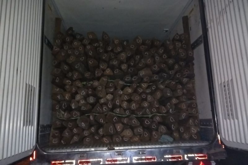 Em mais uma ação de fiscalização ambiental integrada na Região do Mosaico Lago de Tucuruí, no sudeste paraense, uma equipe formada por técnicos do Instituto de Desenvolvimento Florestal e da Biodiversidade do Estado do Pará (Ideflor-bio), fiscais da Secretaria de Meio Ambiente e Sustentabilidade (Semas), militares do Batalhão de Polícia Ambiental (BPA) e de secretarias municipais de meio ambiente apreendeu três caminhões carregados com madeira. Os motoristas trafegavam na madrugada de quinta-feira (28), pela rodovia PA-263, num trecho próximo ao município de Breu Branco. <div class='credito_fotos'>Foto: ASCOM / IDEFLOR-BIO   |   <a href='/midias/2019/originais/5705_ce789624-fa6a-6c6b-eaf0-85a9f12a27df.jpg' download><i class='fa-solid fa-download'></i> Download</a></div>