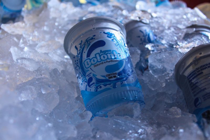  <div class='credito_fotos'>Foto: Ana Carla Lima / ParaPaz   |   <a href='/midias/2019/originais/5714_0c8a4c26-1180-79f6-f101-f5bdb8c20c3c.jpg' download><i class='fa-solid fa-download'></i> Download</a></div>