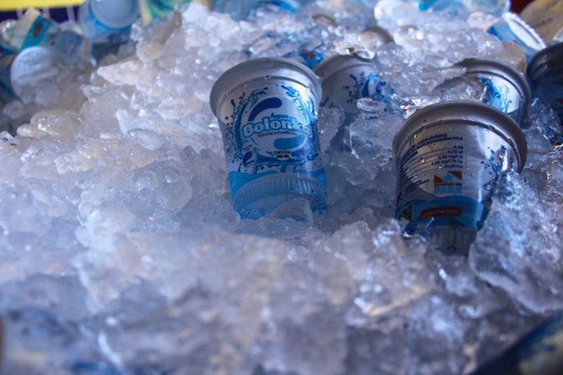  <div class='credito_fotos'>Foto: Ana Carla Lima / ParaPaz   |   <a href='/midias/2019/originais/5714_29f21eb9-38b6-eec4-2ba7-518cbc15cc2b.jpg' download><i class='fa-solid fa-download'></i> Download</a></div>