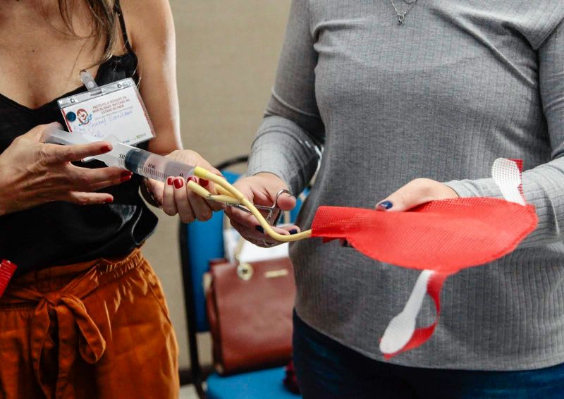  <div class='credito_fotos'>Foto: Ricardo Amanajás / Ag. Pará   |   <a href='/midias/2019/originais/5723_b5a6b41c-bbbe-cb03-719e-f0d493046ec0.jpg' download><i class='fa-solid fa-download'></i> Download</a></div>