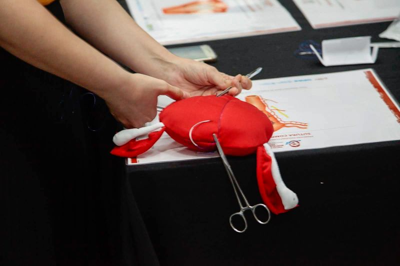  <div class='credito_fotos'>Foto: Ricardo Amanajás / Ag. Pará   |   <a href='/midias/2019/originais/5723_bc3162b7-791f-a0c6-f31b-d936db6ce41d.jpg' download><i class='fa-solid fa-download'></i> Download</a></div>