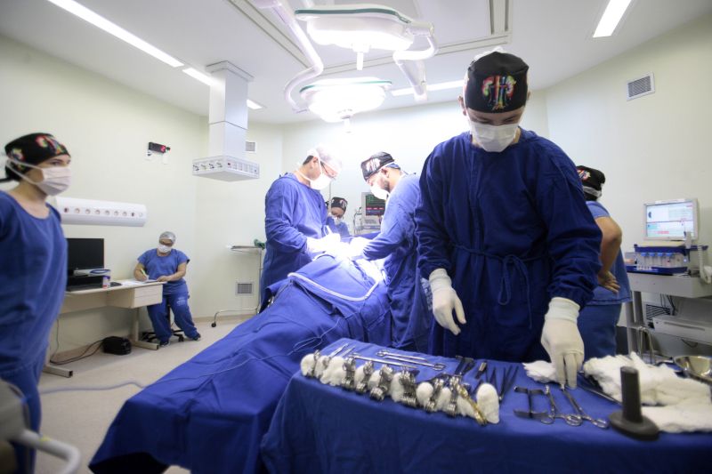 Fundação Santa Casa de Misericórdia do Pará realizou o primeiro transplante de rins em paciente pediátrico.
Na foto: <div class='credito_fotos'>Foto: Bruno Cecim / Ag.Pará   |   <a href='/midias/2019/originais/5739_2a2e26cb-4ba6-95a1-a530-628aabd9f5cd.jpg' download><i class='fa-solid fa-download'></i> Download</a></div>