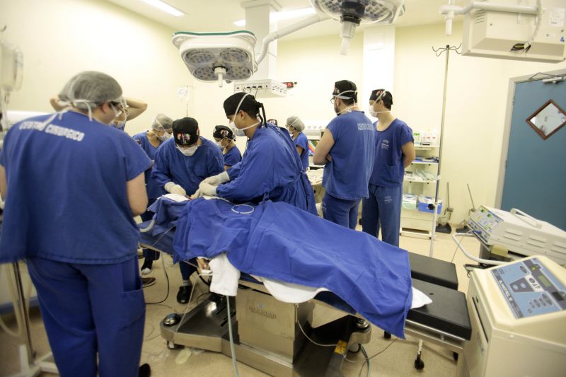 Fundação Santa Casa de Misericórdia do Pará realizou o primeiro transplante de rins em paciente pediátrico.
Na foto: <div class='credito_fotos'>Foto: Bruno Cecim / Ag.Pará   |   <a href='/midias/2019/originais/5739_8ce80c93-d8d7-d4a6-f8eb-cb34c6aebb65.jpg' download><i class='fa-solid fa-download'></i> Download</a></div>