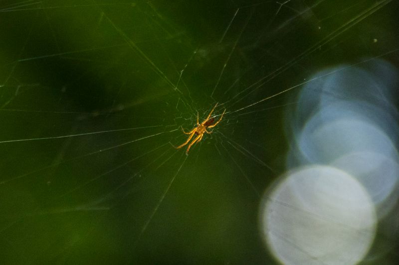  <div class='credito_fotos'>Foto: Pedro Guerreiro / Ag. Pará   |   <a href='/midias/2019/originais/5747_561a6864-528f-7028-a5a2-d91068783811.jpg' download><i class='fa-solid fa-download'></i> Download</a></div>