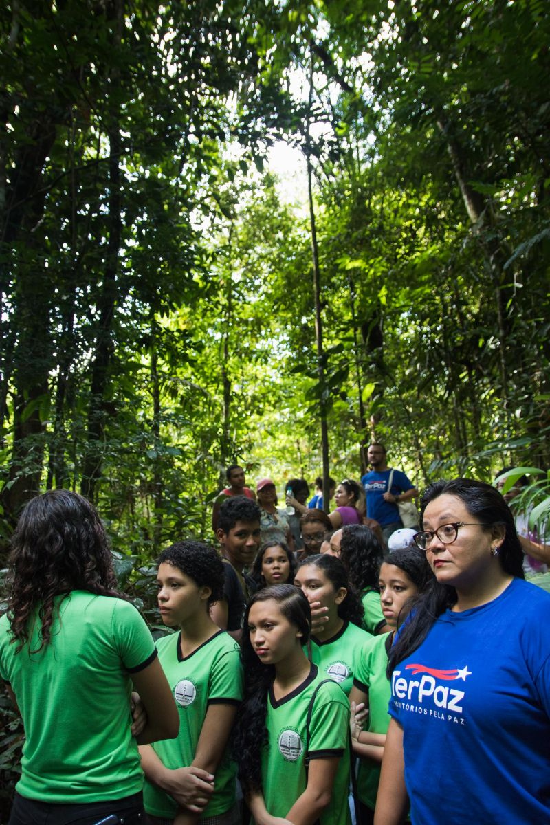  <div class='credito_fotos'>Foto: Pedro Guerreiro / Ag. Pará   |   <a href='/midias/2019/originais/5747_65556bf5-5ae1-773c-4cf8-48ee3f5fb8f8.jpg' download><i class='fa-solid fa-download'></i> Download</a></div>