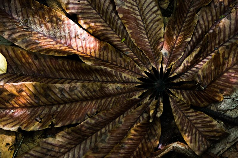  <div class='credito_fotos'>Foto: Pedro Guerreiro / Ag. Pará   |   <a href='/midias/2019/originais/5747_7d993421-6b6a-3ff2-0948-ca714f0e5b8a.jpg' download><i class='fa-solid fa-download'></i> Download</a></div>