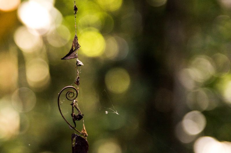  <div class='credito_fotos'>Foto: Pedro Guerreiro / Ag. Pará   |   <a href='/midias/2019/originais/5747_9d5b5524-759b-3743-062e-ffa6b864fb6d.jpg' download><i class='fa-solid fa-download'></i> Download</a></div>